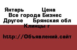 Янтарь.Amber › Цена ­ 70 - Все города Бизнес » Другое   . Брянская обл.,Клинцы г.